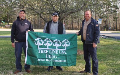 Arbor Day Foundation Recognizes MEC as Certified 2022 Tree Line USA Utility