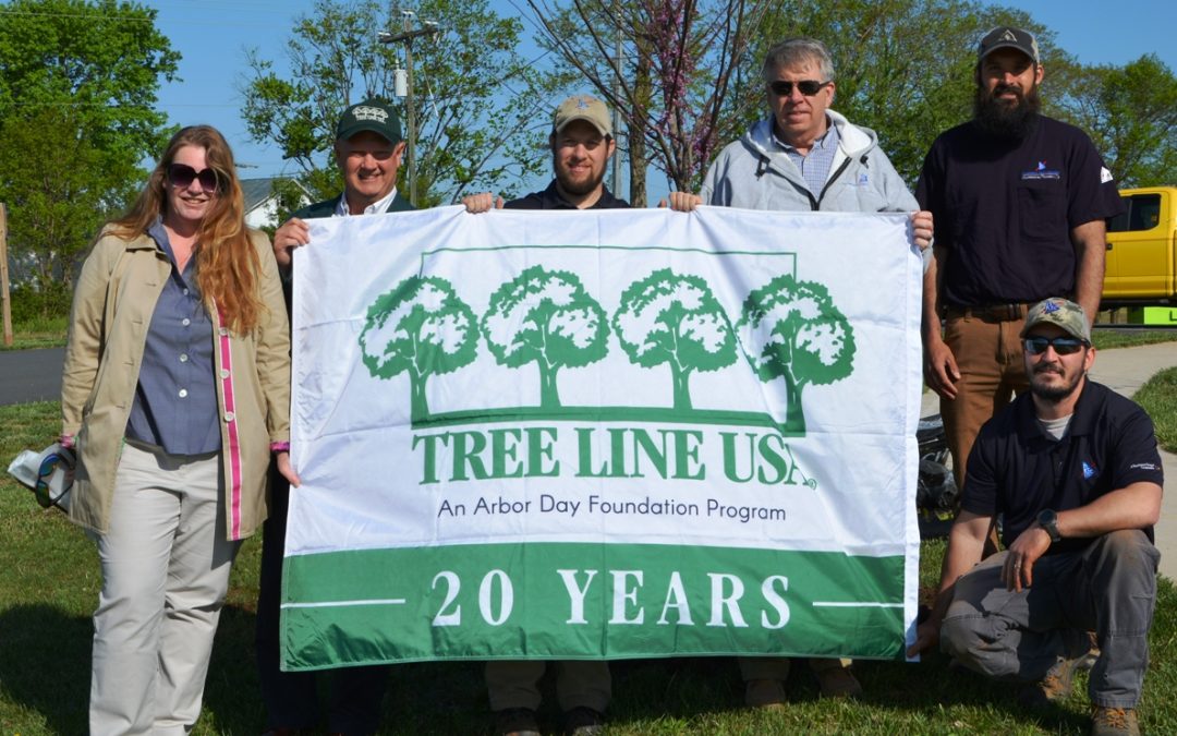 REC Receives Tree Line USA Designation