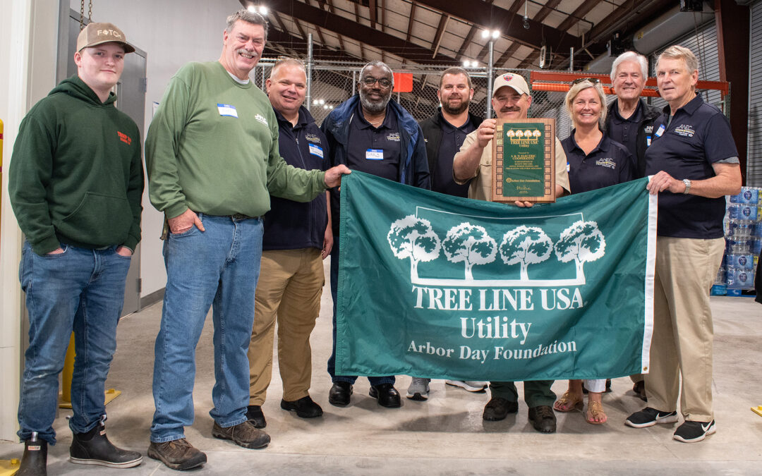 Cooperative Hosts Second Annual Arbor Day and Member Appreciation Event