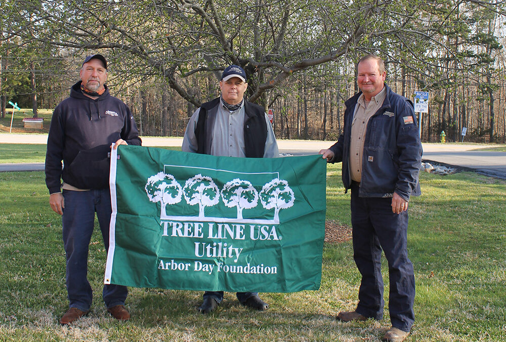 Arbor Day Foundation Recognizes Mecklenburg  Electric as Certified 2023 Tree Line USA Utility